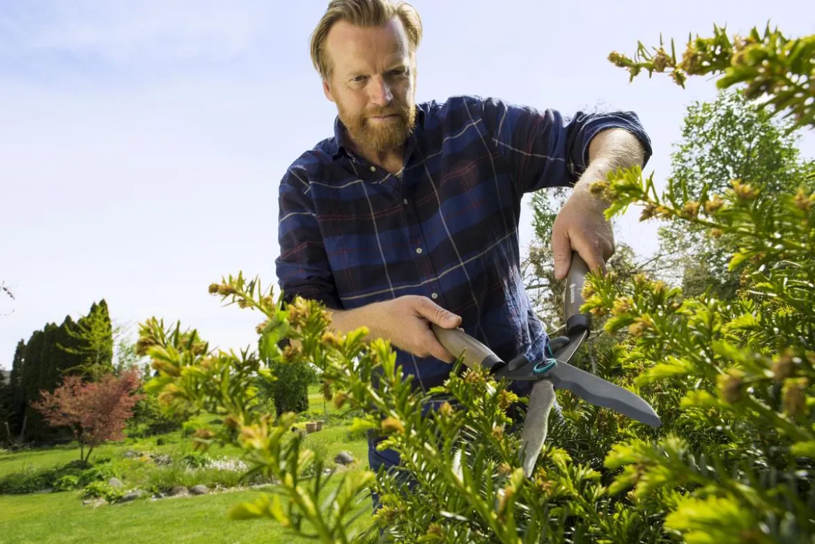 GARDENA Heckenschere NatureCut