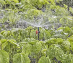 GARDENA Micro-Drip-System Sprühdüse 360 Grad, 5 Stk.