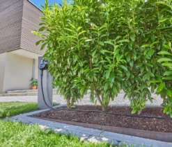 GARDENA Micro-Drip-System Tropfbewässerung-Set für Hecken & Büsche
