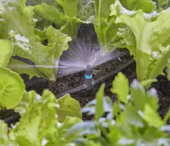 GARDENA Micro-Drip-System T-Stück für Sprühdüsen, 1/2