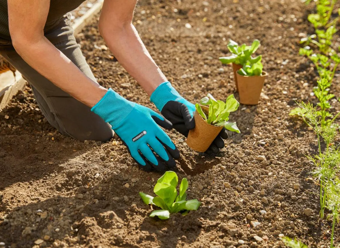GARDENA Pflanz- und Bodenhandschuh