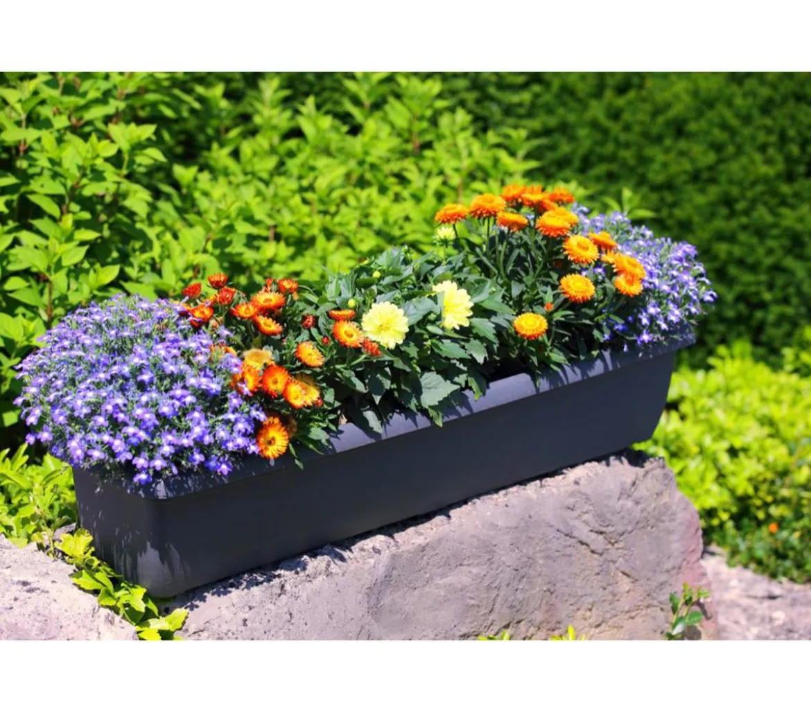 Geli Kunststoff-Blumenkasten Aqua Andalucia