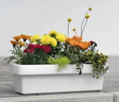 Geli Kunststoff-Blumenkasten Viva, inkl. Bewässerungssystem, rechteckig