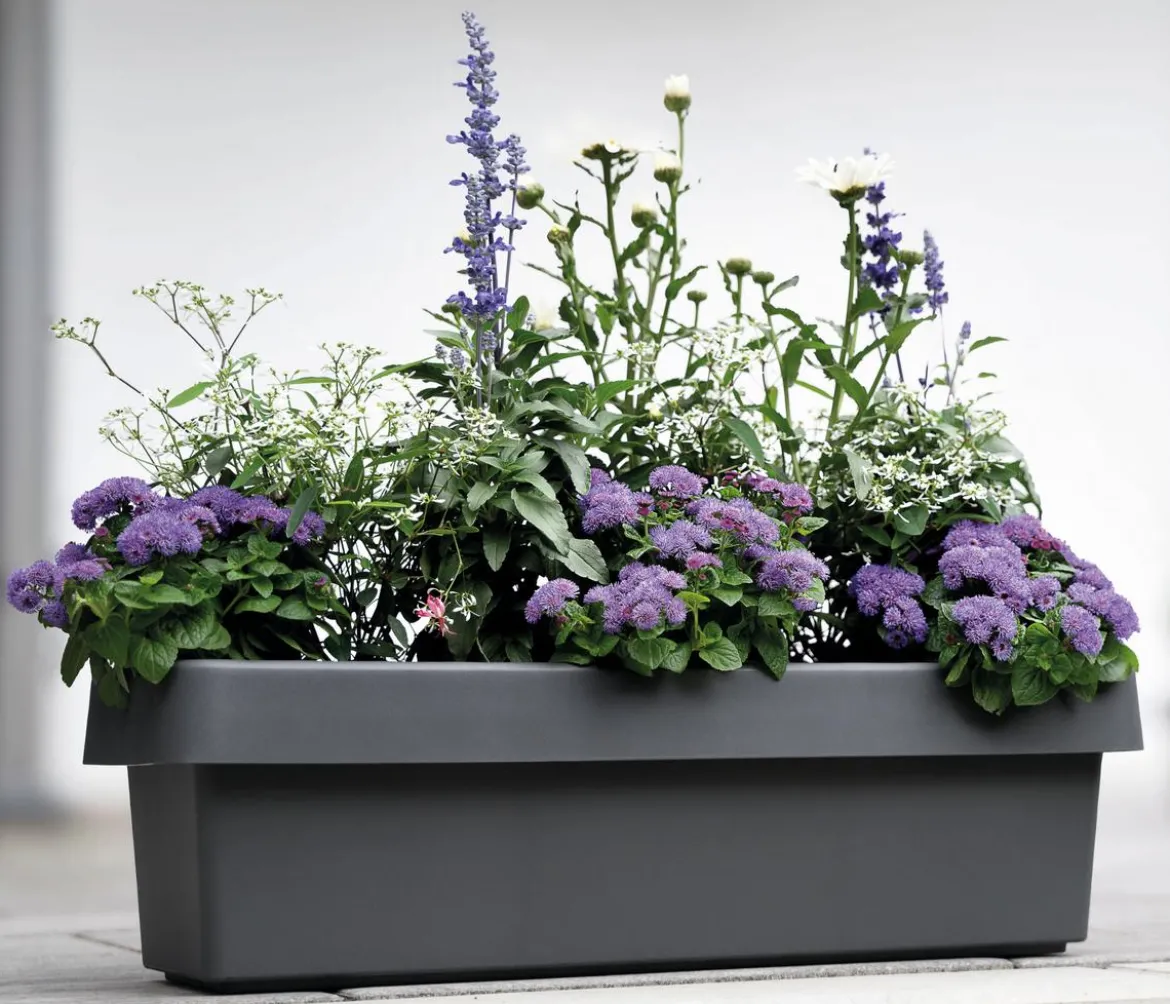 Geli Kunststoff-Blumenkasten Viva, inkl. Bewässerungssystem, rechteckig