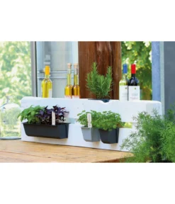 Geli Kunststoff-Pflanzkasten Easy, rechteckig, ca. B37/H9,5/T10 cm