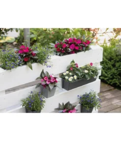 Geli Kunststoff-Pflanzkasten Easy, rechteckig, ca. B37/H9,5/T10 cm
