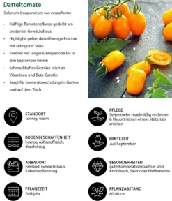 Gemüse-Set Buntes Snackgemüse, 6-teilig