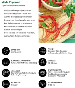 Gemüse-Set Grillparty, 6-teilig