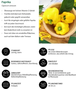Gemüse-Set Grillparty, 6-teilig