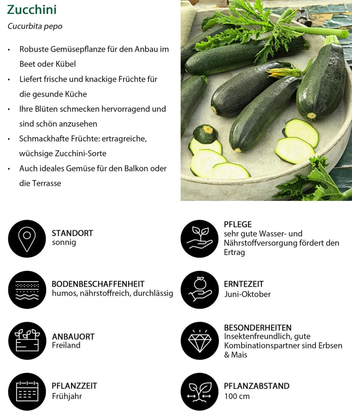 Gemüse-Set Grillparty, 6-teilig