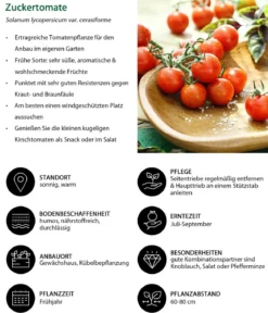Gemüse-Set Großer Gemüsegarten, 6-teilig