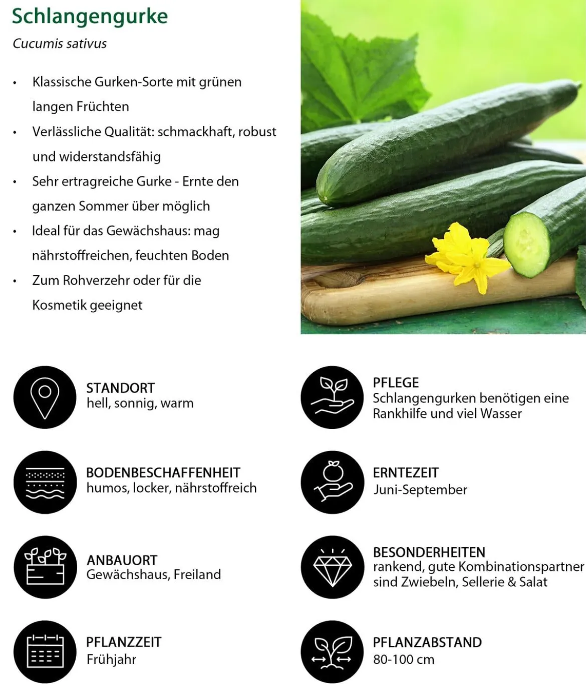 Gemüse-Set Großer Gemüsegarten, 6-teilig