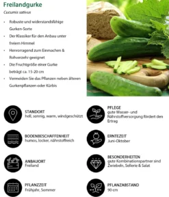 Gemüse-Set Gurkensalat, 3-teilig