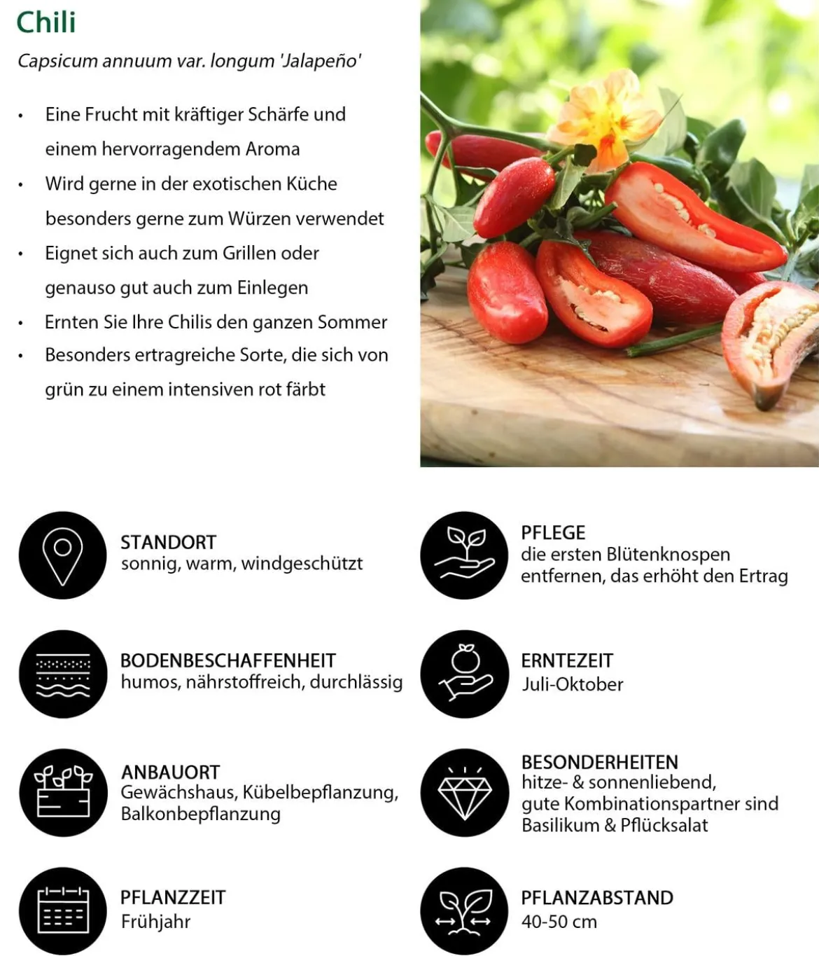 Gemüse-Set Schärfetest, 6-teilig