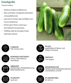 Gemüse-Set Snackgemüse für den Balkon, 6-teilig