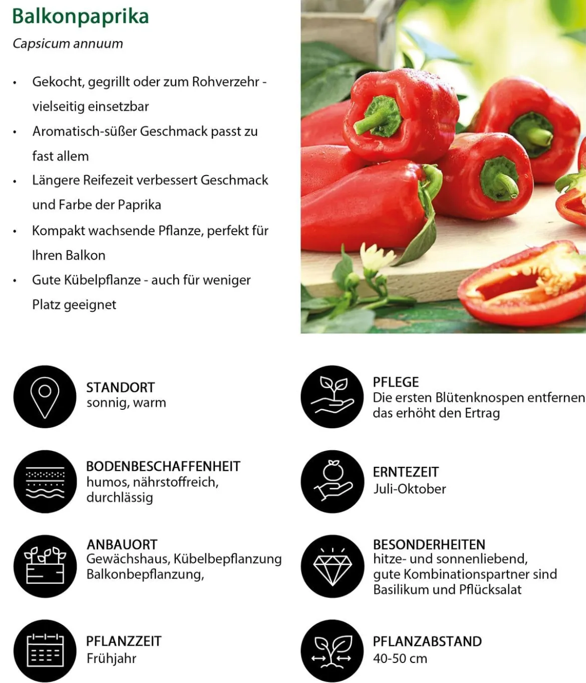 Gemüse-Set Snackgemüse für den Balkon, 6-teilig