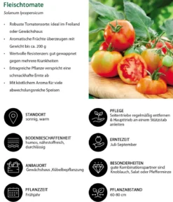 Gemüse-Set Tomatengenuss, 6-teilig