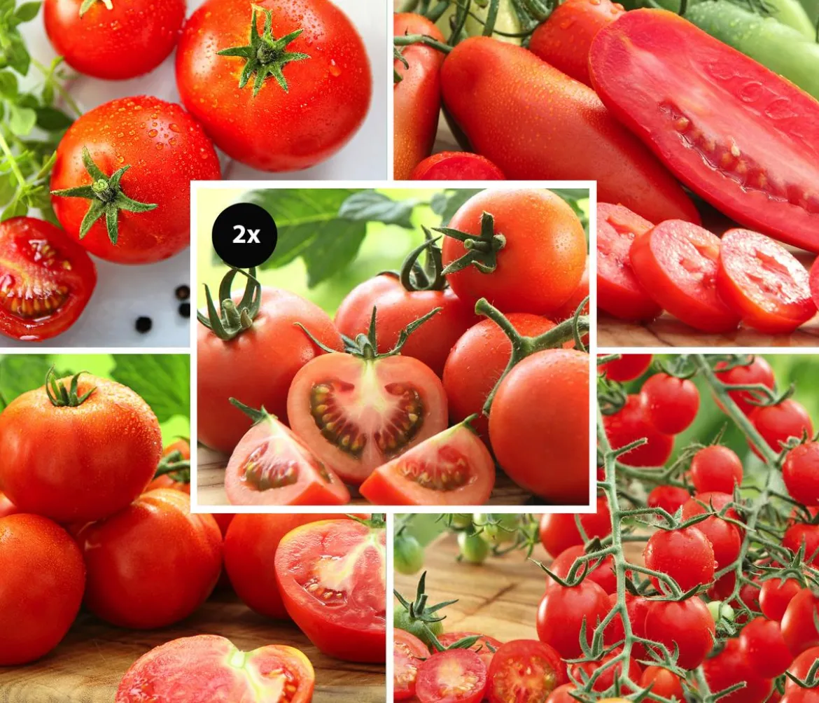 Gemüse-Set Tomatengenuss, 6-teilig