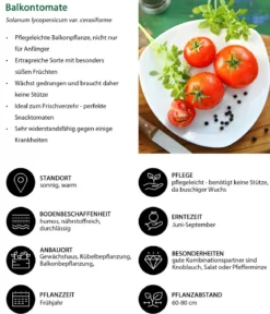 Gemüse-Set Tomatengenuss, 6-teilig