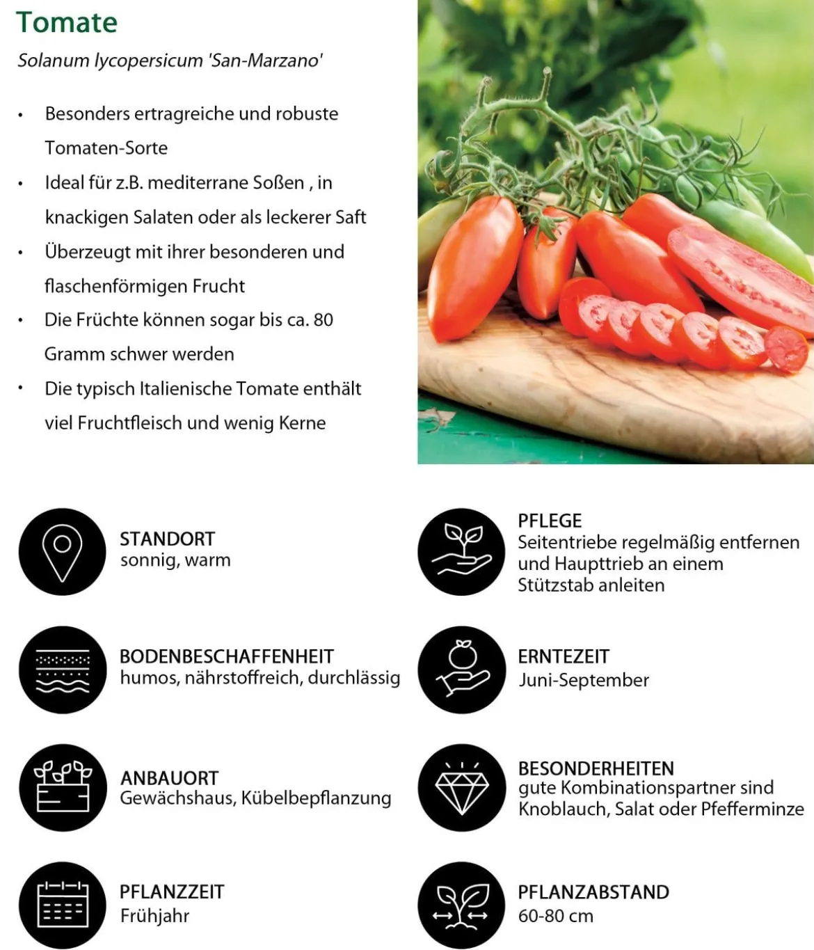 Gemüse-Set Tomatengenuss, 6-teilig