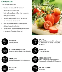 Gemüse-Set Tomatensalat, 3-teilig