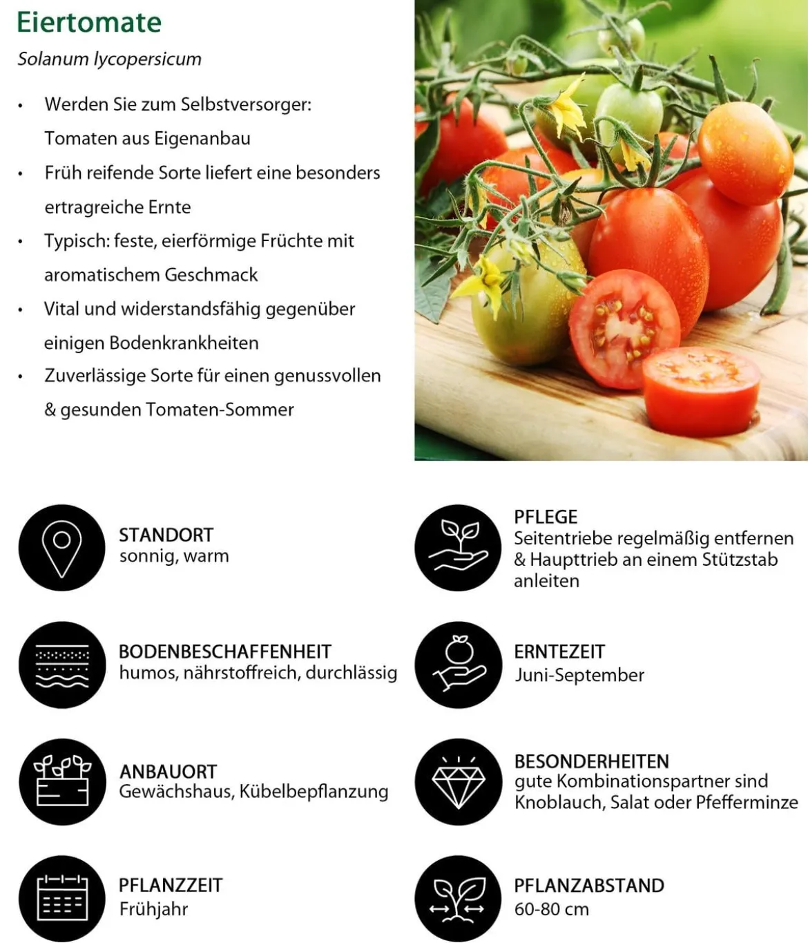 Gemüse-Set Tomatensalat, 3-teilig