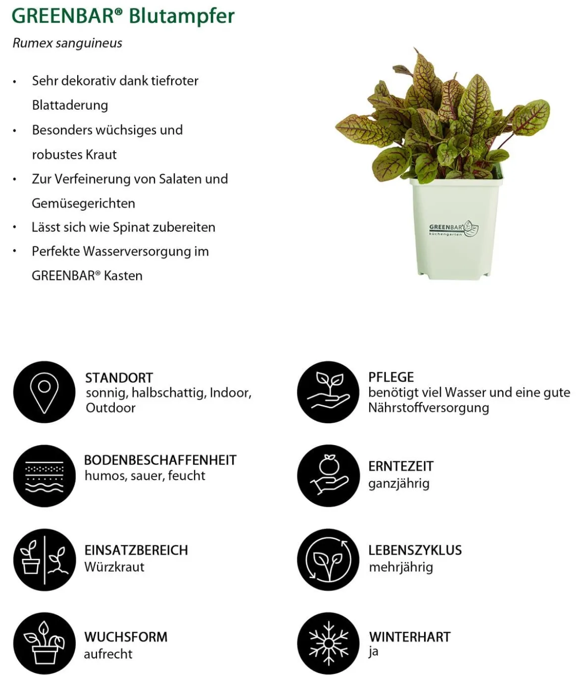GREENBAR® Blutampfer