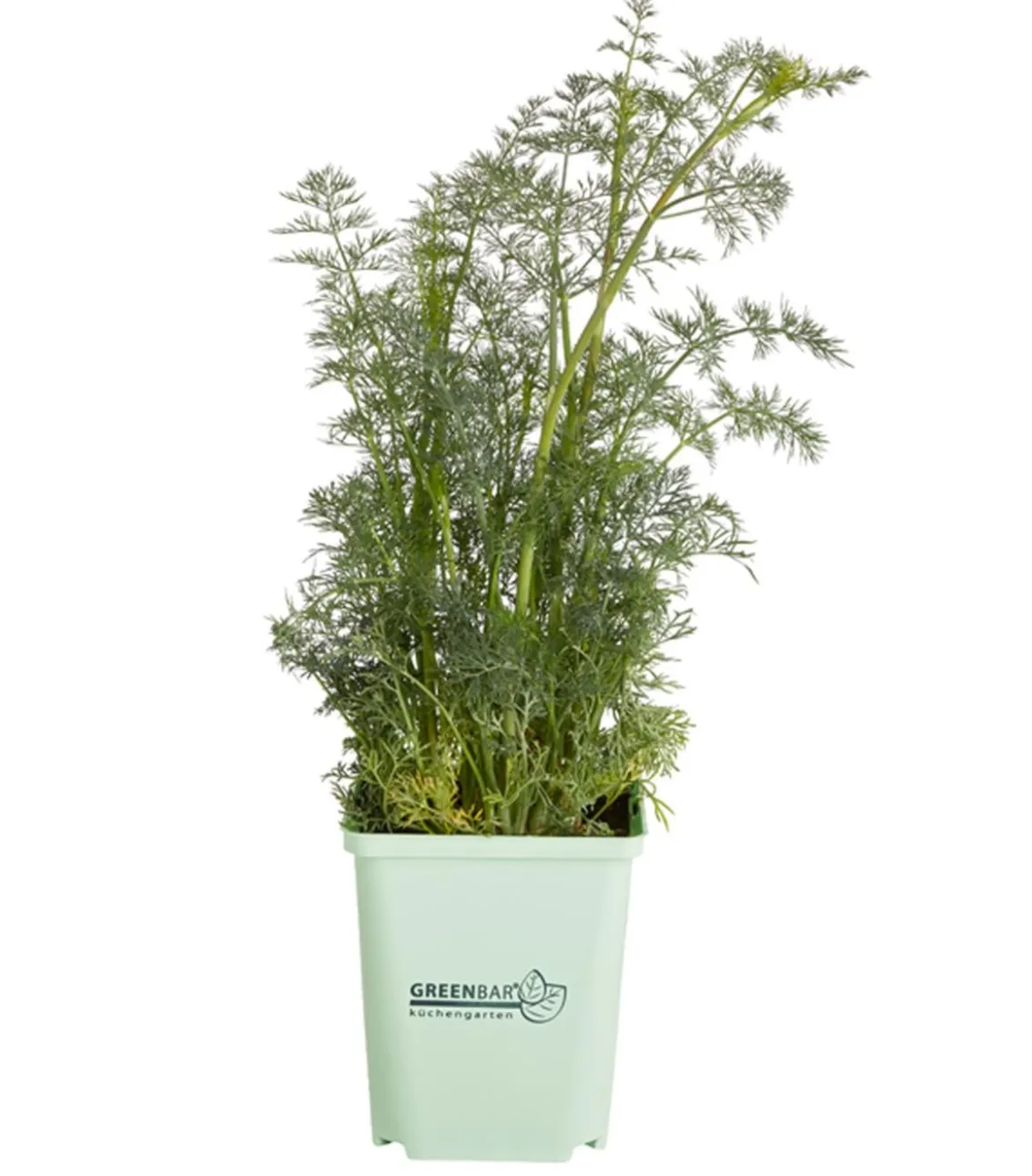 GREENBAR® Dill