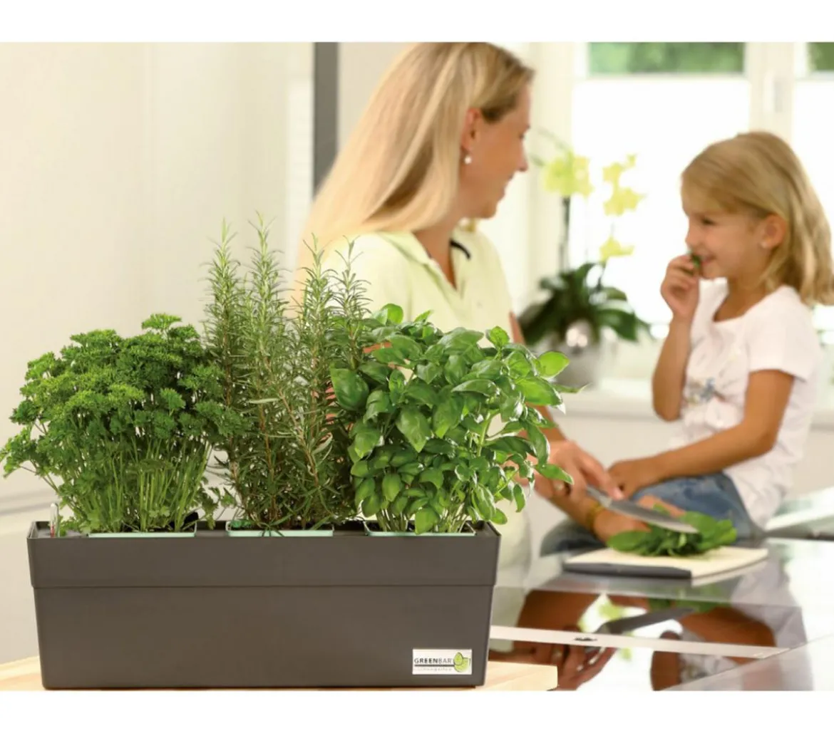 GREENBAR® Dill