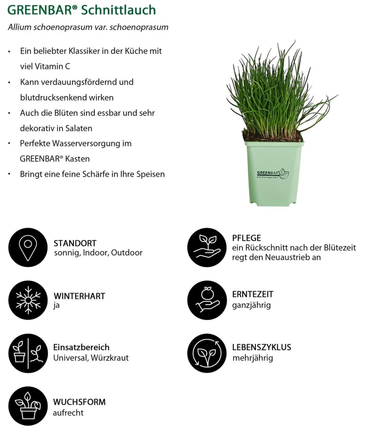 GREENBAR® Küchenkräuter-Set, 6-teilig