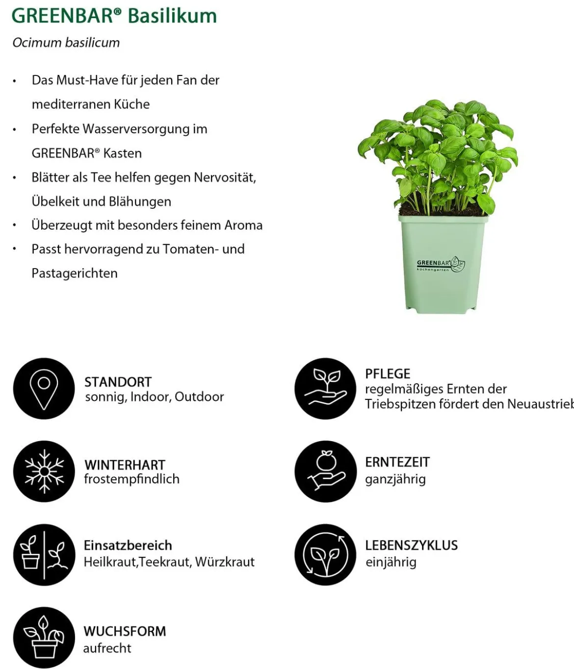 GREENBAR® Küchenkräuter-Set, 6-teilig