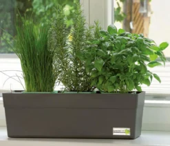 GREENBAR® Küchenkräuter-Set, 6-teilig