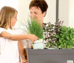 GREENBAR® Küchenkräuter-Set, 6-teilig