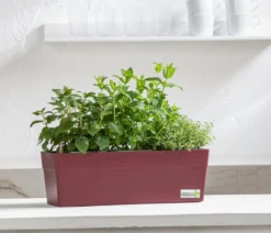 GREENBAR® Kräuterkasten, ca. B48/H15,5/T16 cm
