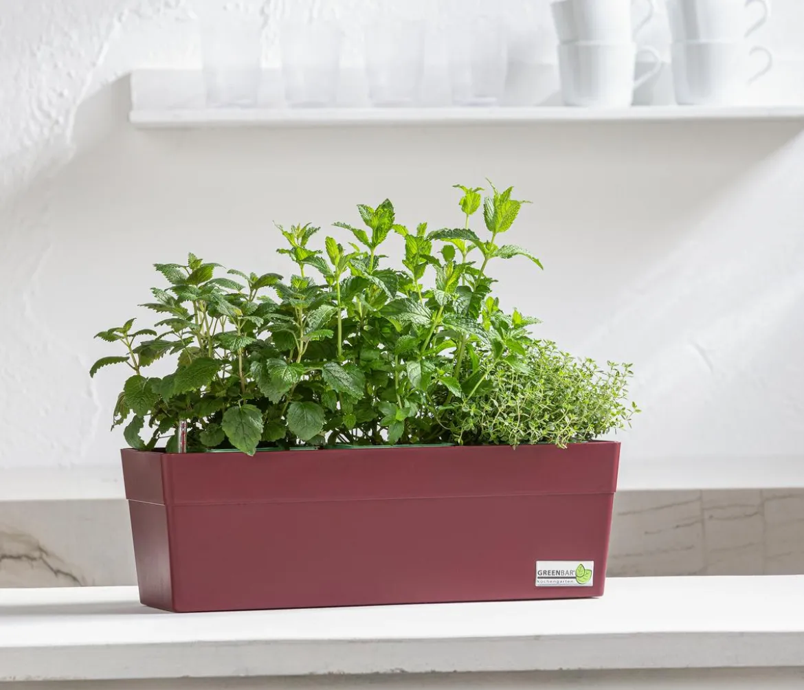 GREENBAR® Kräuterkasten, ca. B48/H15,5/T16 cm