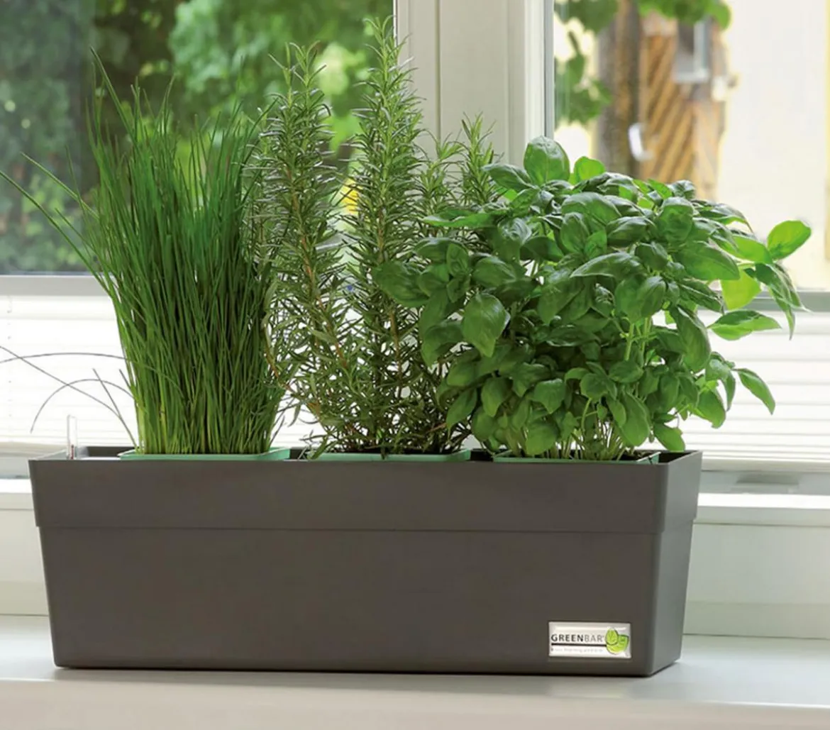 GREENBAR® Kräuterkasten, ca. B48/H15,5/T16 cm