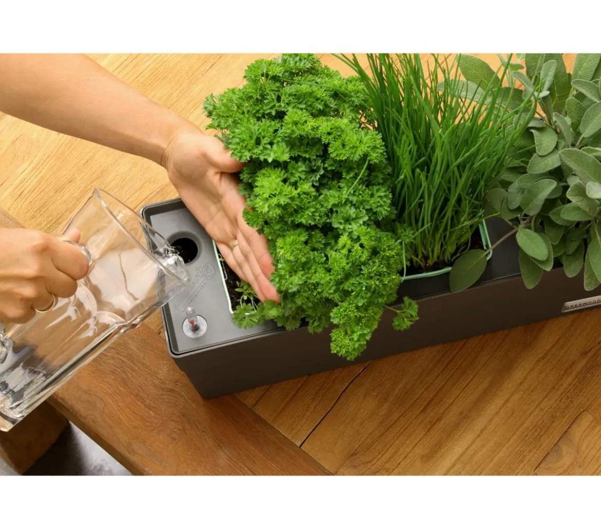 GREENBAR® Kräuterkasten, ca. B48/H15,5/T16 cm