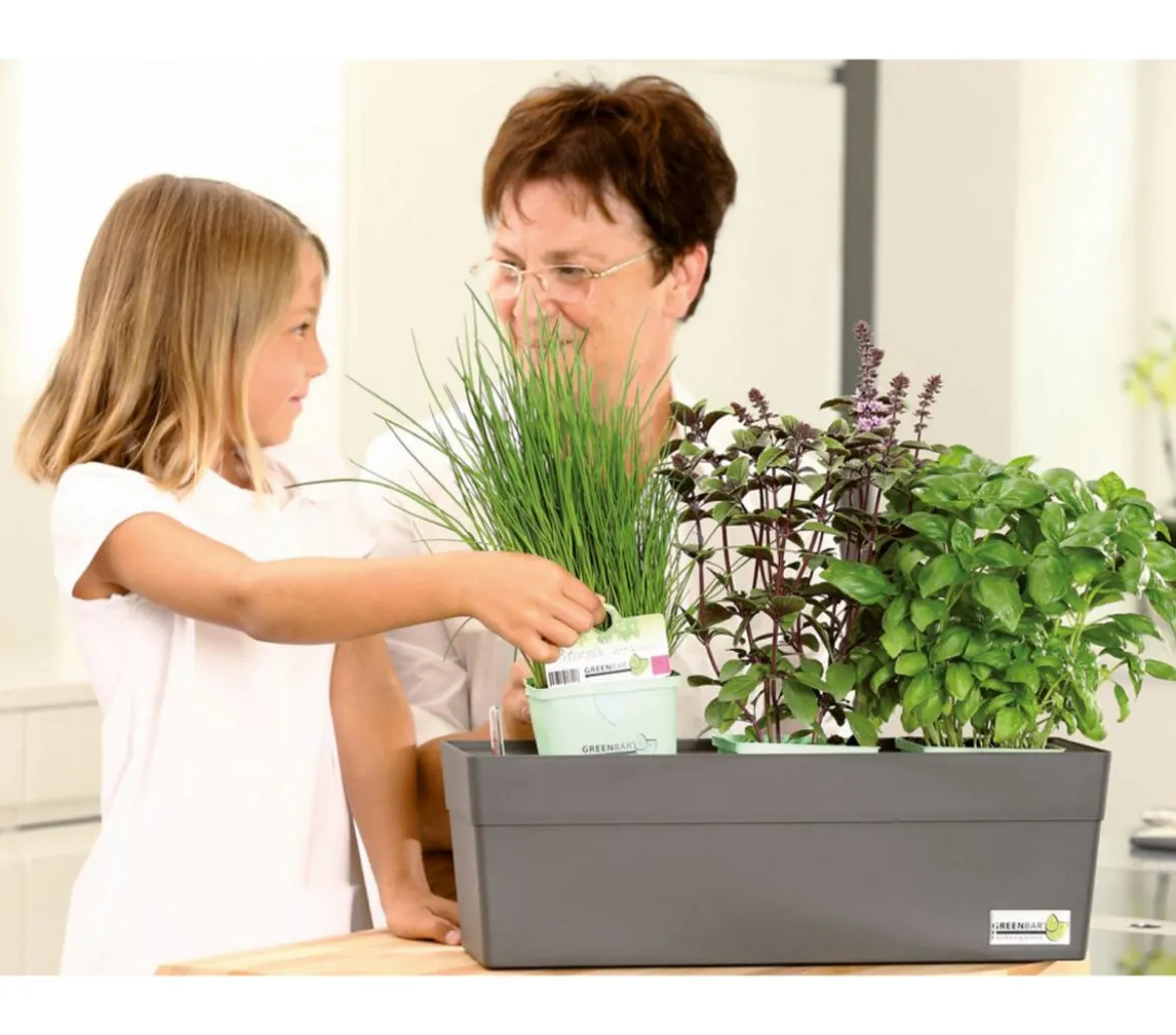 GREENBAR® Kräuterkasten, ca. B48/H15,5/T16 cm