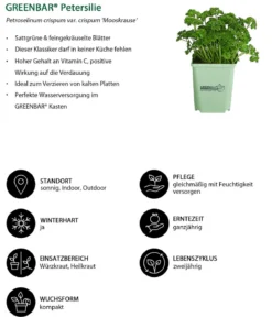 GREENBAR® Petersilie 'Mooskrause'