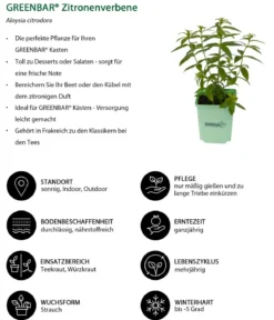 GREENBAR® Zitronenverbene
