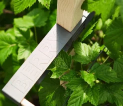 Gusta Garden Beeren-Rankhilfe Berry Buddy, ca. B119/H139/T35 cm