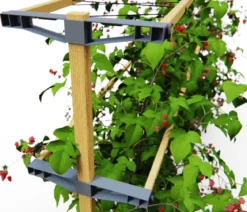 Gusta Garden Beeren-Rankhilfe Berry Buddy, ca. B119/H139/T35 cm