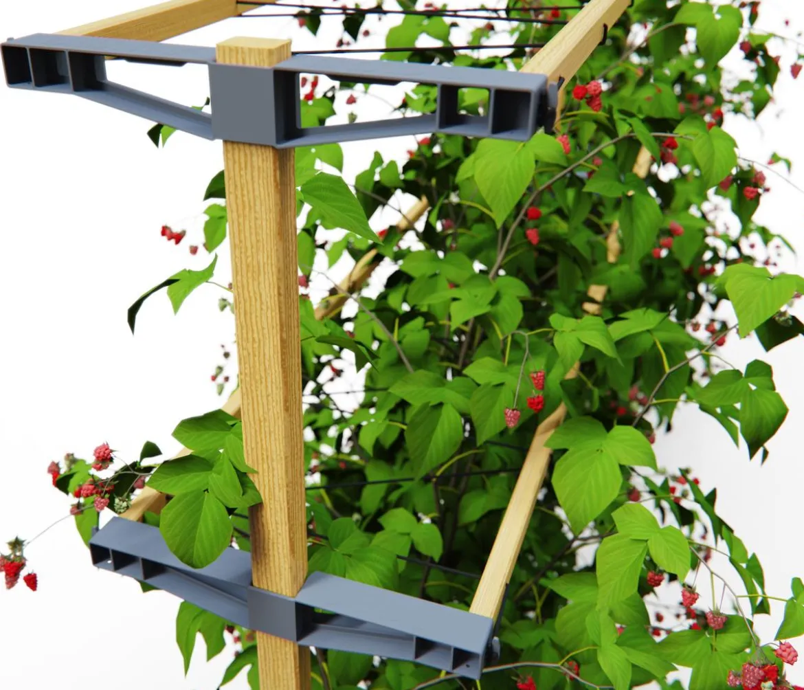 Gusta Garden Beeren-Rankhilfe Berry Buddy, ca. B119/H139/T35 cm