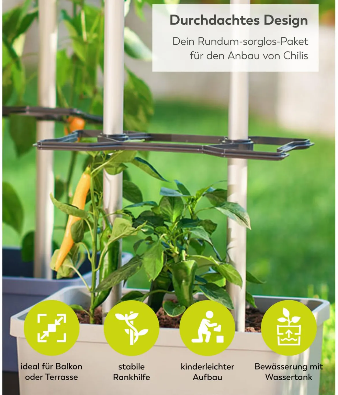 Gusta Garden Chili-Pflanztopf Charly Chili XL, ca. B34,7/H138/T28,1 cm