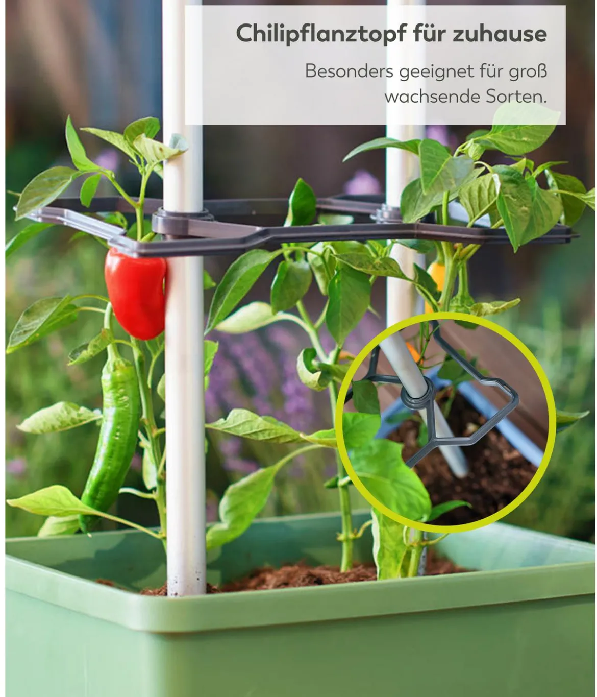 Gusta Garden Chili-Pflanztopf Charly Chili XL, ca. B34,7/H138/T28,1 cm