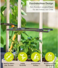Gusta Garden Chili-Pflanztopf Charly Chili XL, ca. B34,7/H138/T28,1 cm