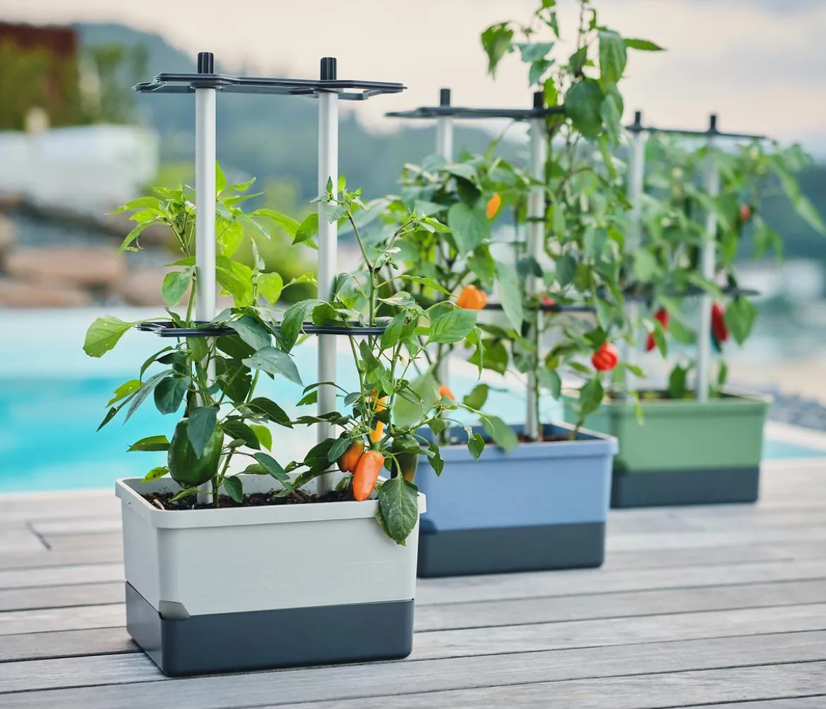 Gusta Garden Chili-Pflanztopf Charly Chili, ca. B35/H69/T28 cm