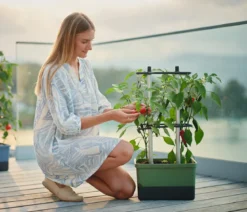 Gusta Garden Chili-Pflanztopf Charly Chili, ca. B35/H69/T28 cm