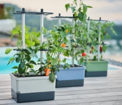 Gusta Garden Chili-Pflanztopf Charly Chili, ca. B35/H69/T28 cm