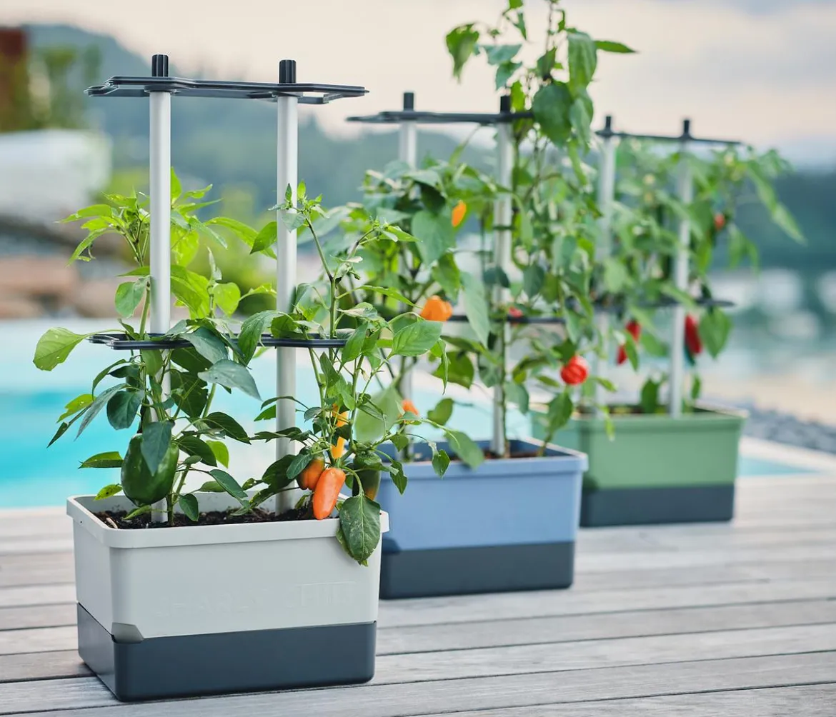 Gusta Garden Chili-Pflanztopf Charly Chili, ca. B35/H69/T28 cm